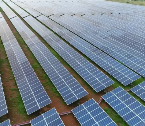 With $950M Solar Factory, India Makes Push To Cut China Dependency