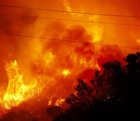 Canadian Wildfire Chokes US Skies, Disrupting Flights, Prompting Health Alerts