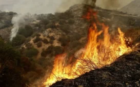 SoCal Wildfire Erupts Amid Heat Wave