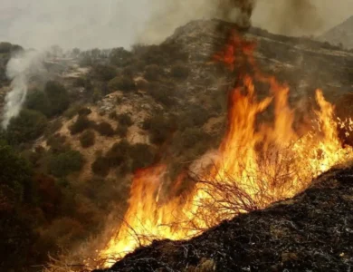 SoCal Wildfire Erupts Amid Heat Wave