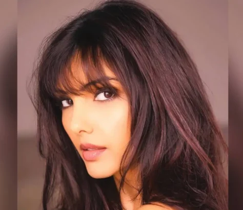 Somy Ali Faces Heat For Backing Faissal Khan Against Aamir Khan