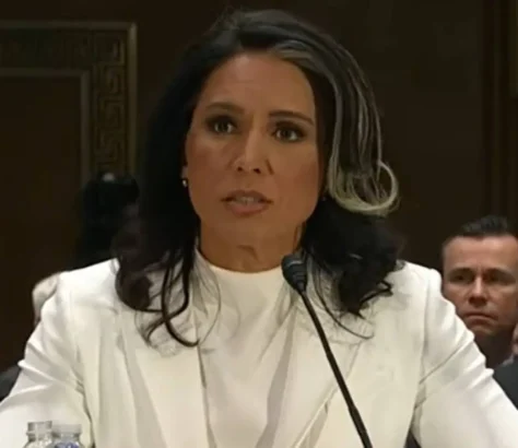 Tulsi Gabbard's ‘Depoliticizing’ Effort Targets 37 National Security Officials