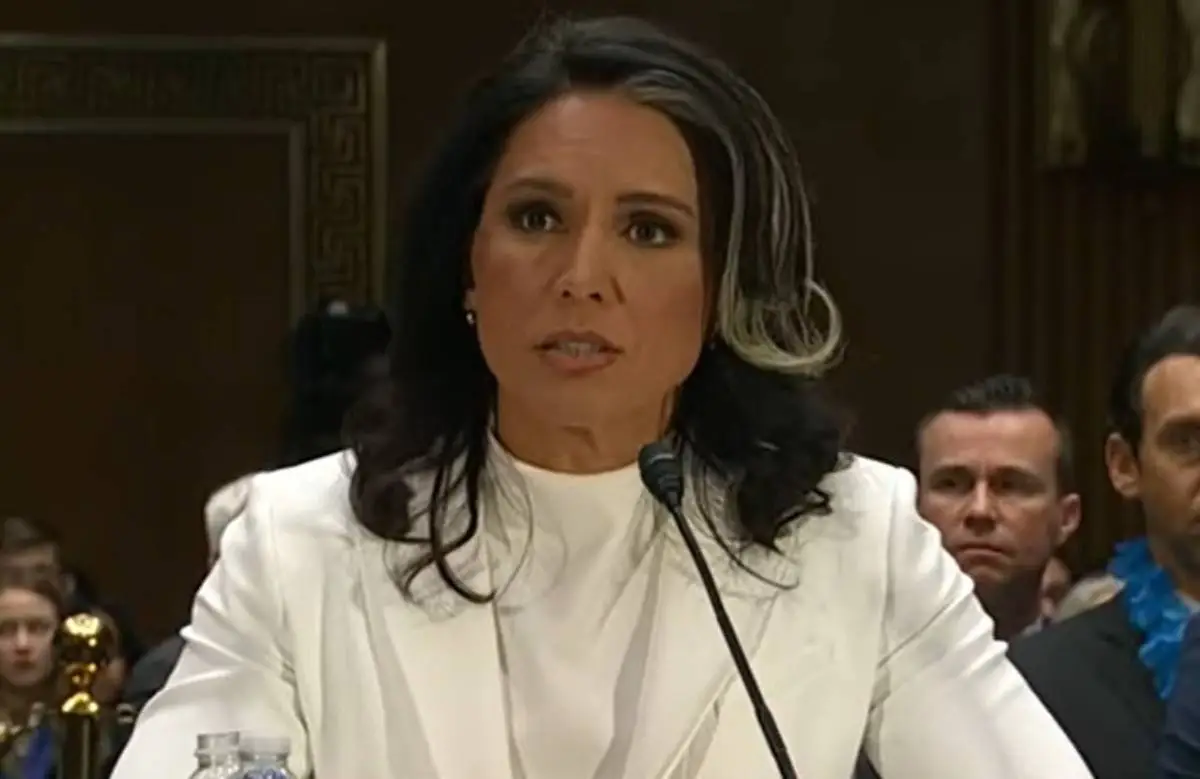 Tulsi Gabbard's ‘Depoliticizing’ Effort Targets 37 National Security Officials