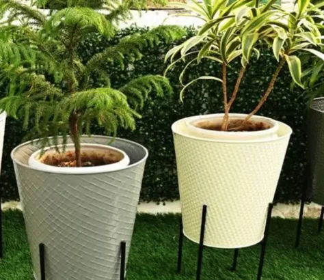 Your Kitchen Garden Starts Here: 5 Simple Herbs To Plant