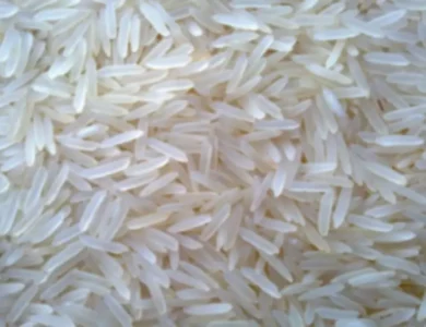 India To Supply Fortified Rice To Combat Global Hunger