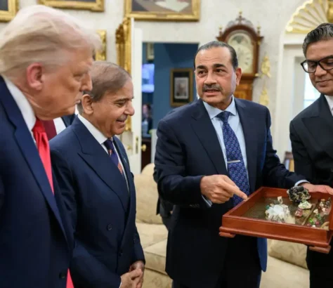 Pak Pushes Rare Earth Deals With Trump