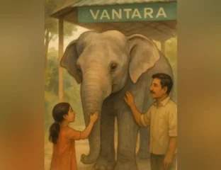 Vantara Gets Clean Chit From India’s Supreme Court