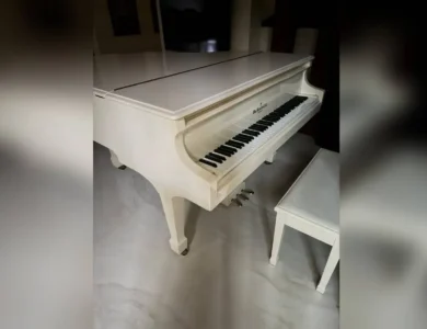 For National Award Win, Prakash Gets Grand Piano From Uncle Rahman