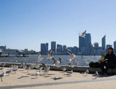 Hottest Year On Record: Extreme Heat Caused 97,000 Deaths