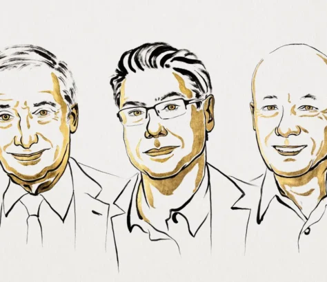 Trio Wins 2025 Economics Nobel For Work On Innovation And Growth