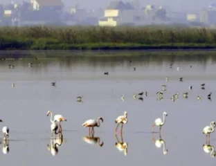 Trump Team Freezes Climate Funds, Targeting Blue States