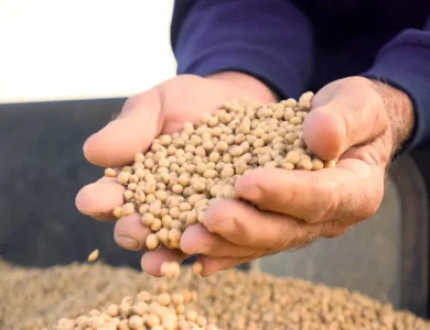 US Farmers Struggle As Tariffs Set In