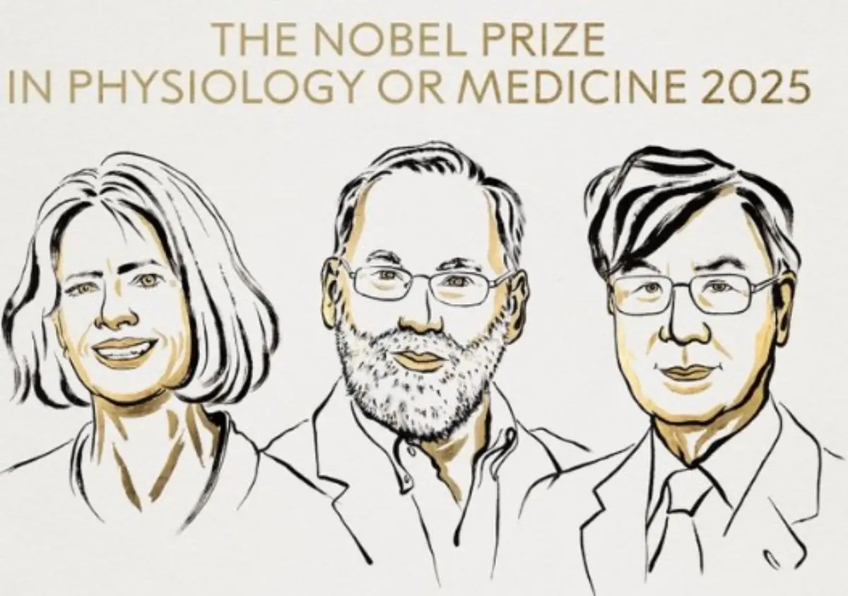 US, Japanese Scientists Win 2025 Nobel Prize For Medicine