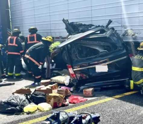 Immigration: California Revoking 17,000 Truck Driver Licenses