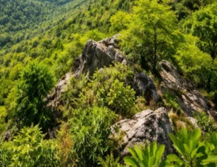 After Protests And Press Heat, SC Presses Pause On Its Own Ruling On Aravallis