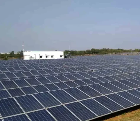 From Desert To Dynamo: Rajasthan Leads Solar Energy Drive