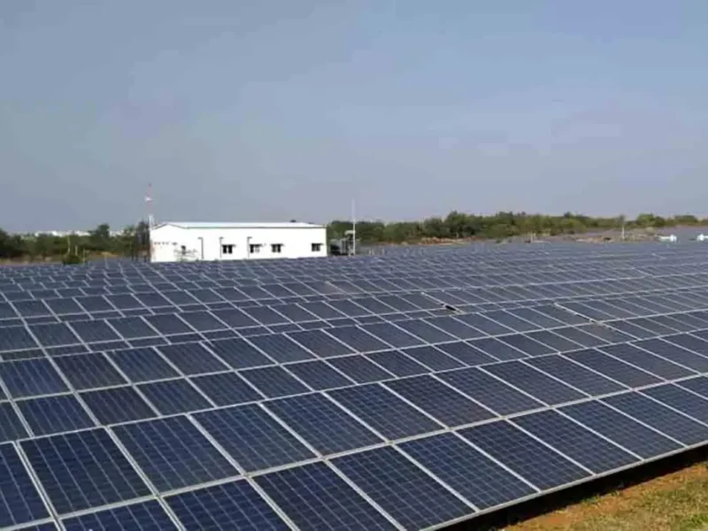 From Desert To Dynamo: Rajasthan Leads Solar Energy Drive
