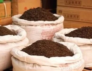 India Cracks Down On Misleading Herbal Tea Branding