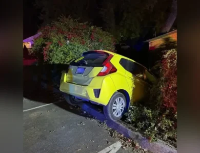 Mental Health Startup Founder Arrested In CA For “Wild Scene”