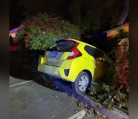 Mental Health Startup Founder Arrested In CA For “Wild Scene”