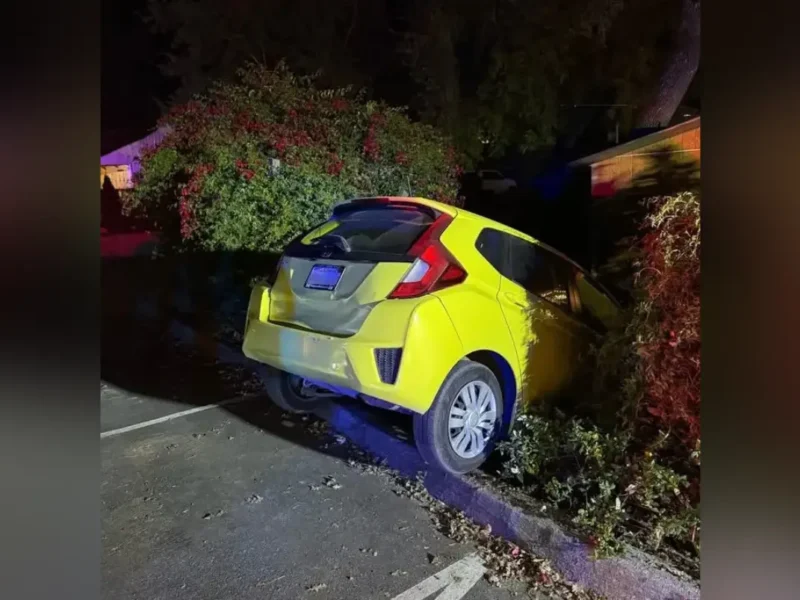 Mental Health Startup Founder Arrested In CA For “Wild Scene”