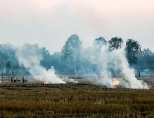 NASA: India’s Evening Crop Fires Worsen Smog