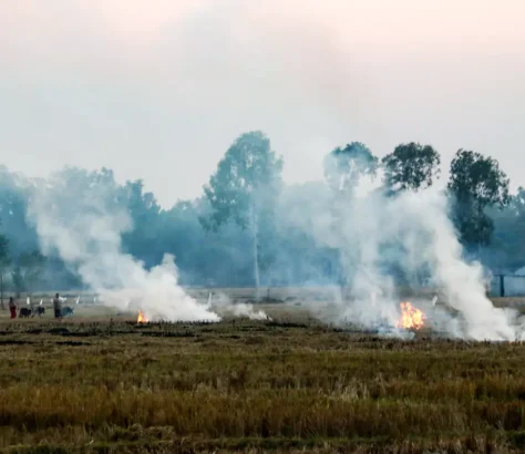 NASA: India’s Evening Crop Fires Worsen Smog