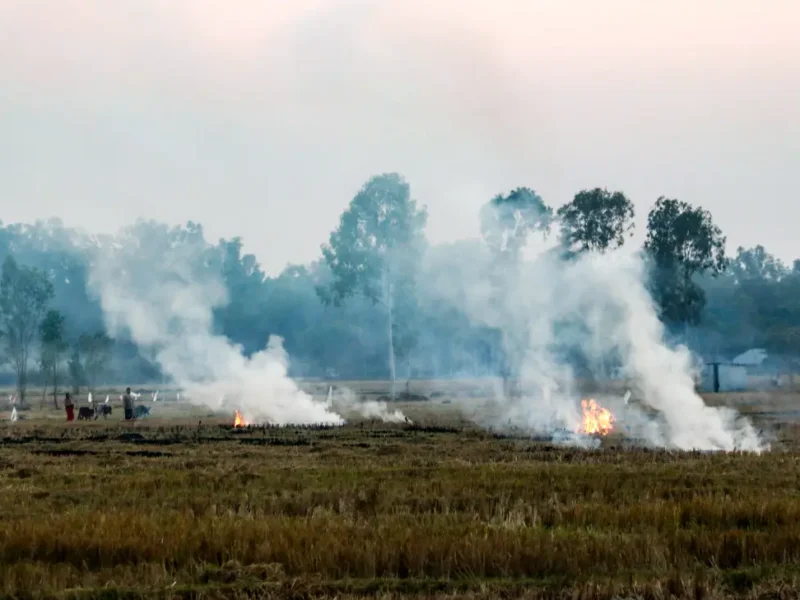 NASA: India’s Evening Crop Fires Worsen Smog