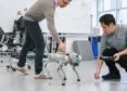 NYU Tandon School Opens New Brooklyn Hub For Robotics