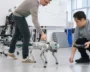 NYU Tandon School Opens New Brooklyn Hub For Robotics