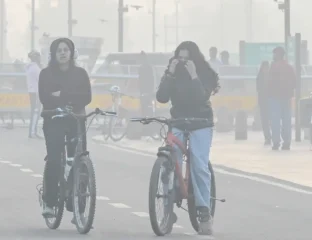 Air Pollutants May Impair Memory And Mood In Children