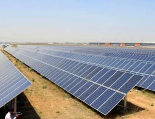 India’s Power Capacity Up 36% In 5 Years As Renewables Hit Record Growth