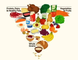 New Food Pyramid Has More Meat, Fat, Protein; Less Sugar, Alcohol