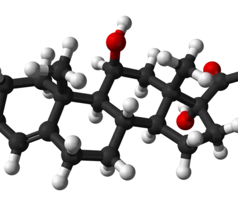 Feeling Wired and Tired? Your Cortisol May Be Out of Sync