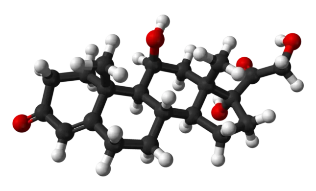 Feeling Wired and Tired? Your Cortisol May Be Out of Sync