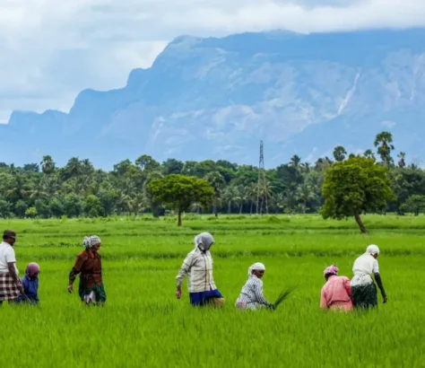 How Philanthropic Ecosystems Are Redefining Cross-Border Impact