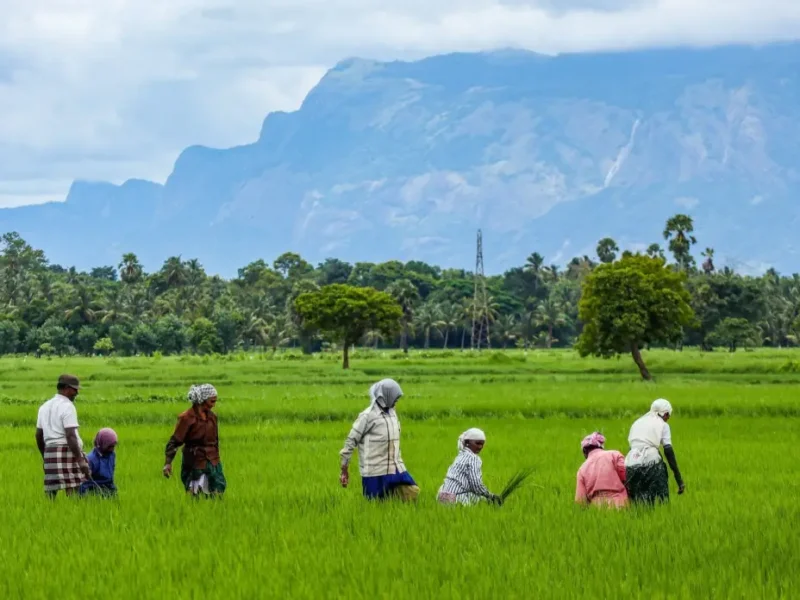 How Philanthropic Ecosystems Are Redefining Cross-Border Impact