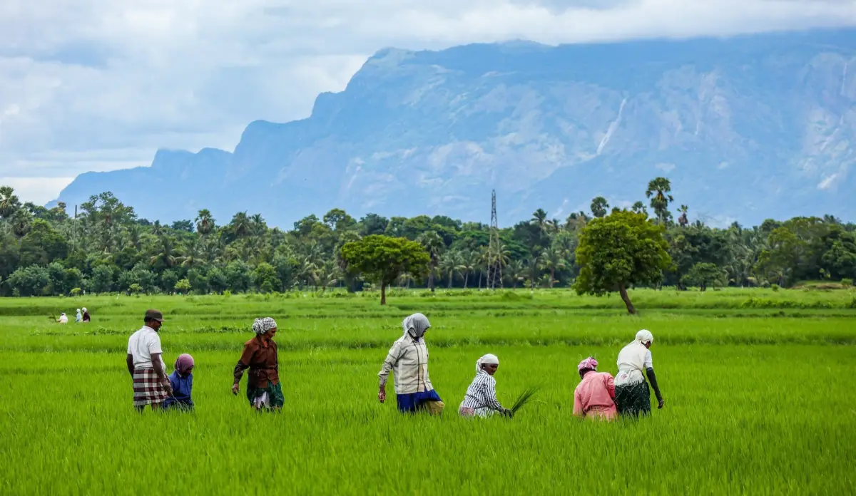 How Philanthropic Ecosystems Are Redefining Cross-Border Impact