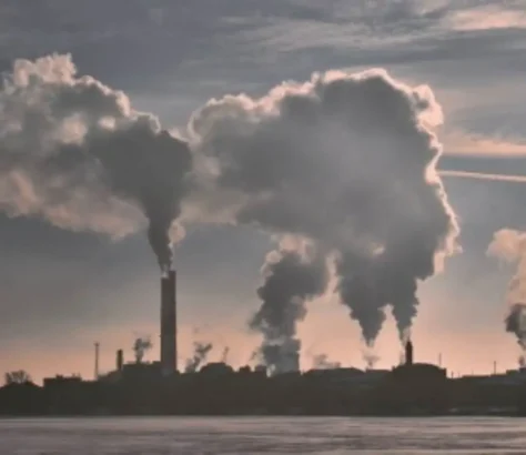 India’s Climate Transition Must Balance Growth And Emissions, Says Study