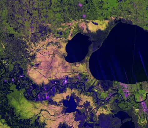 Joint US - India Mission Maps Mississippi Delta From Space