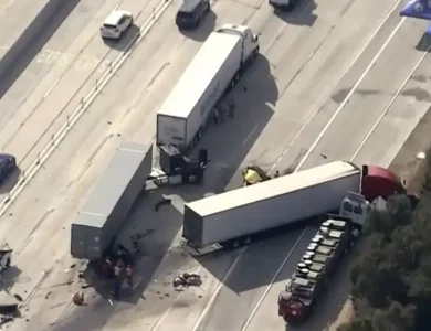 Truck Driver Licensing Rules Get Formalized, Visa And English Required