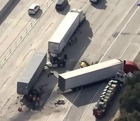 Truck Driver Licensing Rules Get Formalized, Visa And English Required