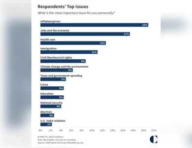 Dislike Of Trump, Rising Hate, And Tepid Dem Gains Shape Indian American Politics