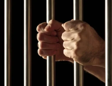 Fresno Trucking Business Owner Gets 14 Months For PPP Loan Fraud