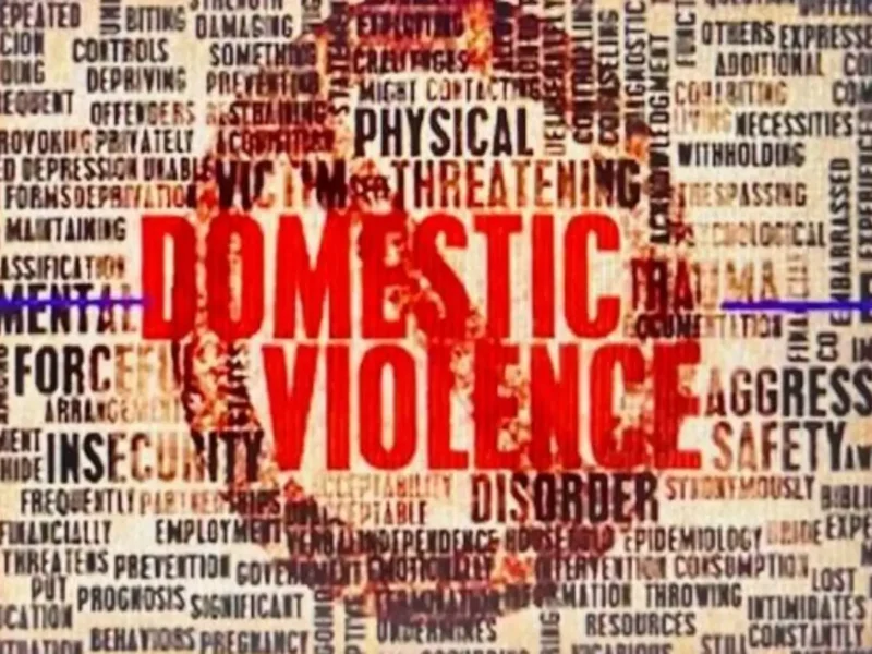 GOPIO Women’s Council Hosts Global Webinar On Domestic Violence