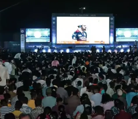 IPL Fan Parks To Roll Out In 15 Cities Across India