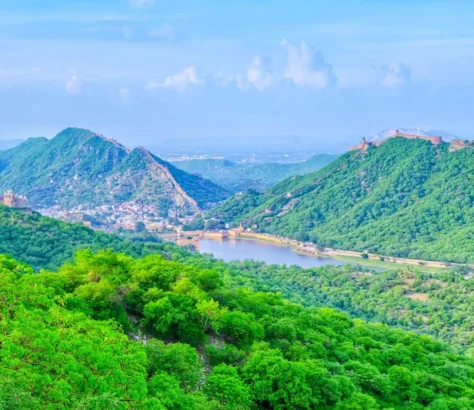 India Pledges Protection Of Aravallis, Highlights Green Wall Project