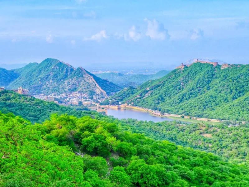India Pledges Protection Of Aravallis, Highlights Green Wall Project