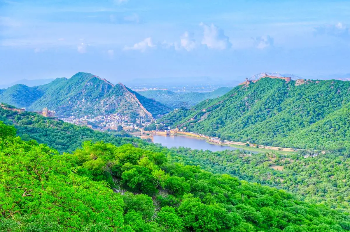 India Pledges Protection Of Aravallis, Highlights Green Wall Project