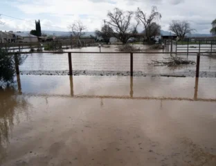 Oahu Faces Worst Flooding In 20 Years